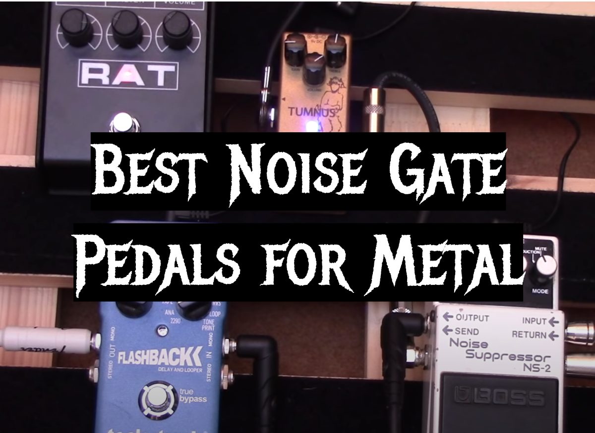 Top 5 Best Bass Guitars for Metal [2020 Review] MetalMusicGuide