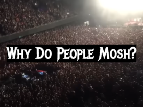 Why Do People Mosh?